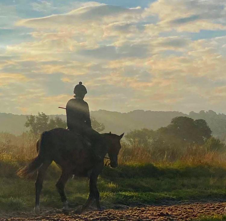 Horse syndicates