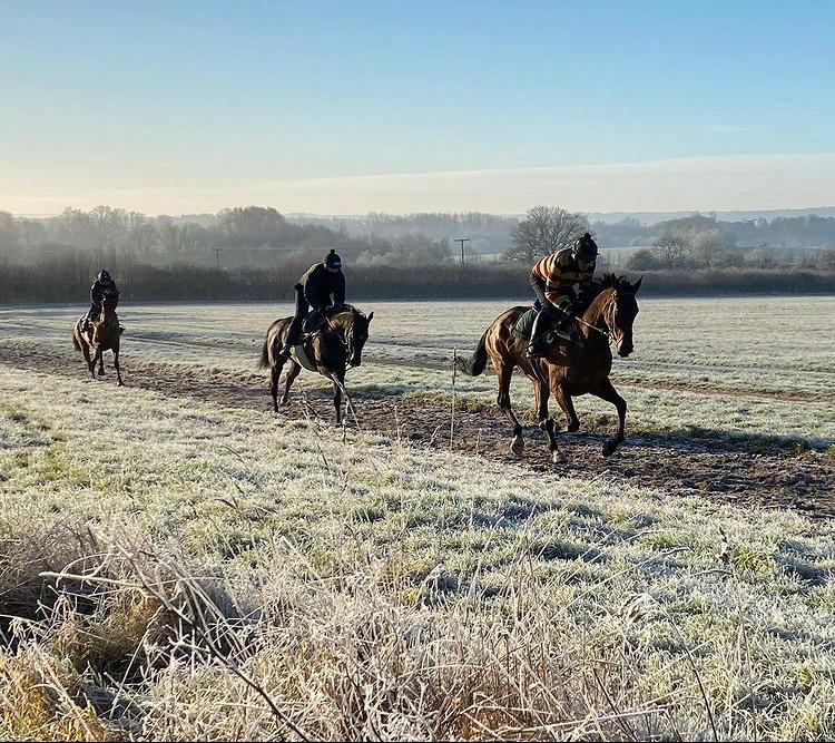 Racehorse training