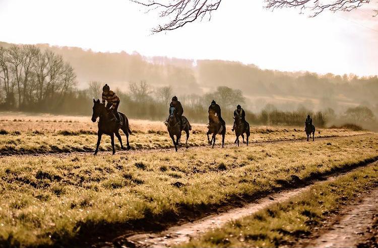 Proven racehorse bloodlines