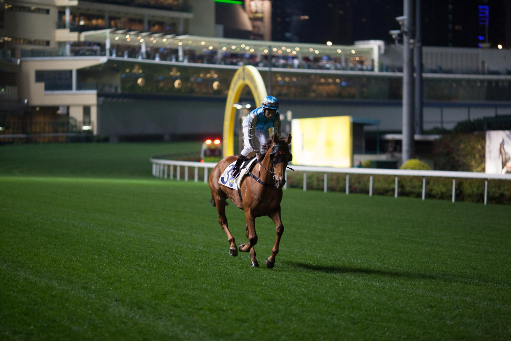 Racehorse stamina development